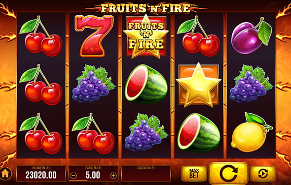 Fruits and Fire de la Synot