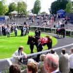 Ascot parade ring on race day. ©HerryLawford